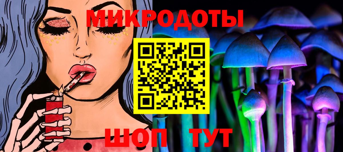Галлюциногенные грибы Psilocybine cubensis  Вход с VPN  Минеральные Воды 